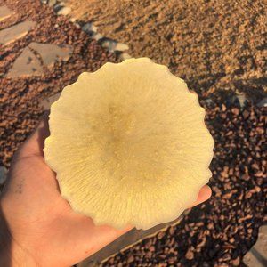 Pear inspired coaster